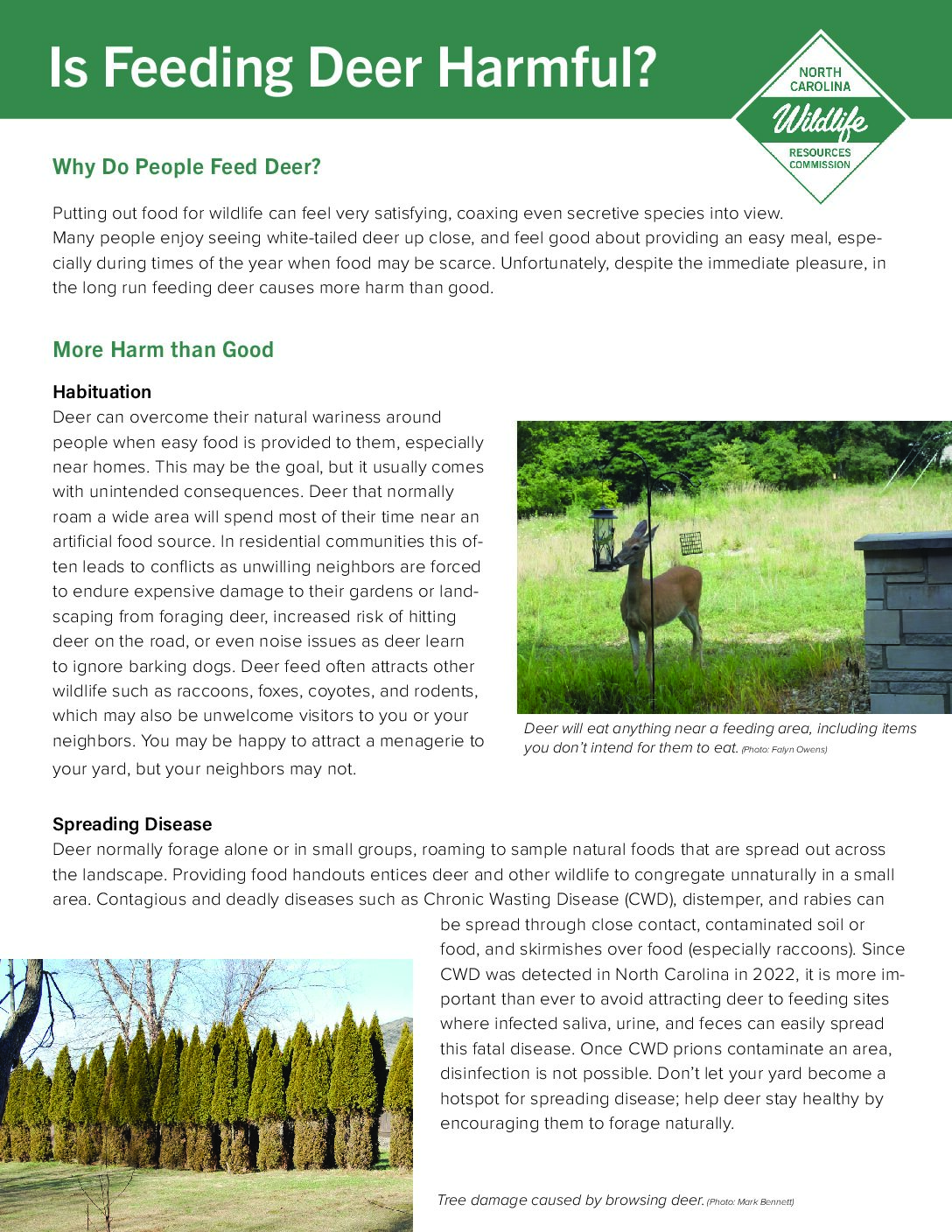 don't feed the bears pdf