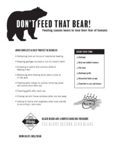 don't feed the bears pdf