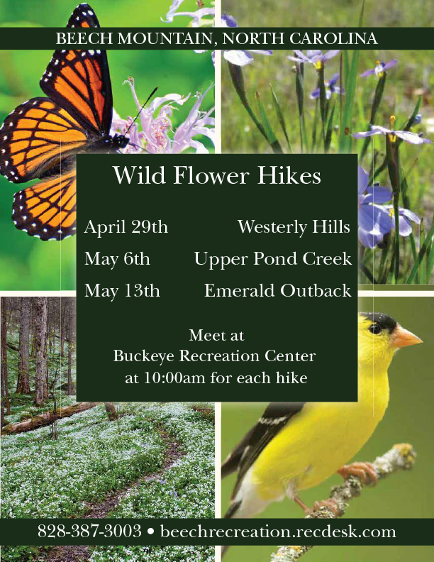 Wild flower hike